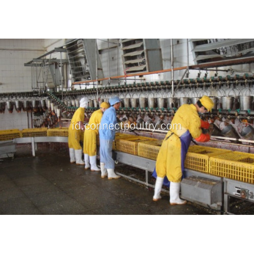 Overhead Conveyor Line dari jalur pengolahan burung